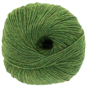 Cascade Yarns 220 Superwash Yarn - 0376 Irelande