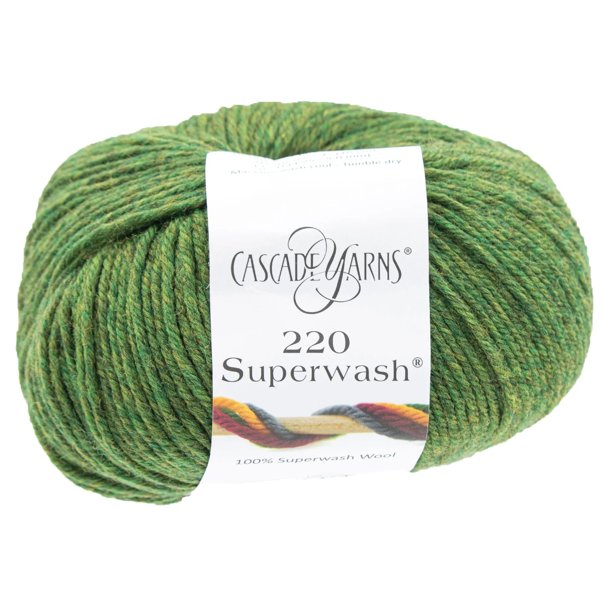 Cascade Yarns 220 Superwash Yarn - 0376 Irelande
